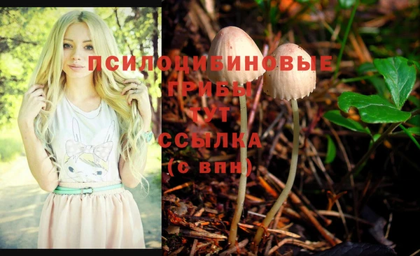 дживик Алзамай