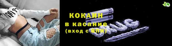 дживик Алзамай