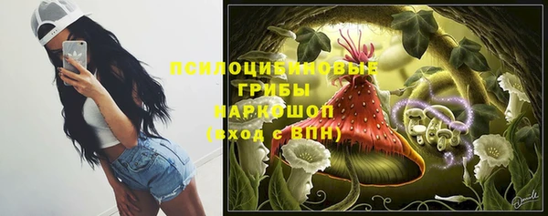 дживик Алзамай